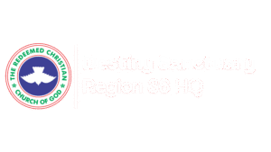 DS New logo1